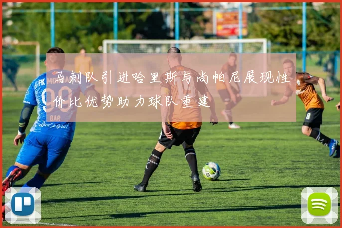 马刺队引进哈里斯与尚帕尼展现性价比优势助力球队重建